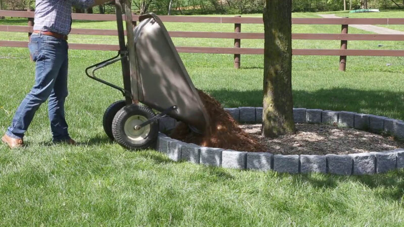 <iframe width="560" height="315" src="https://www.youtube.com/embed/vTBXbgvCQD0" frameborder="0" allow="accelerometer; autoplay; encrypted-media; gyroscope; picture-in-picture" allowfullscreen></iframe>