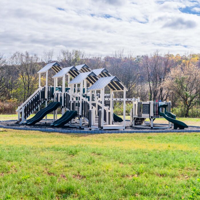 King-Swings-Commercial-Playgrounds-Moonwalker-Right
