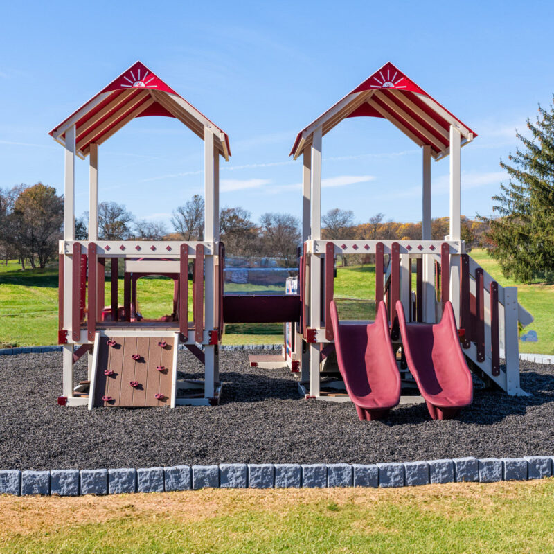 King-Swings-Commercial-Playgrounds-Trail-Blazer-Back2