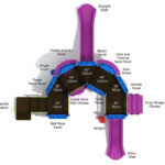 Playground-Equipment-Commercial-Playgrounds-Lambkins-Lute-Top