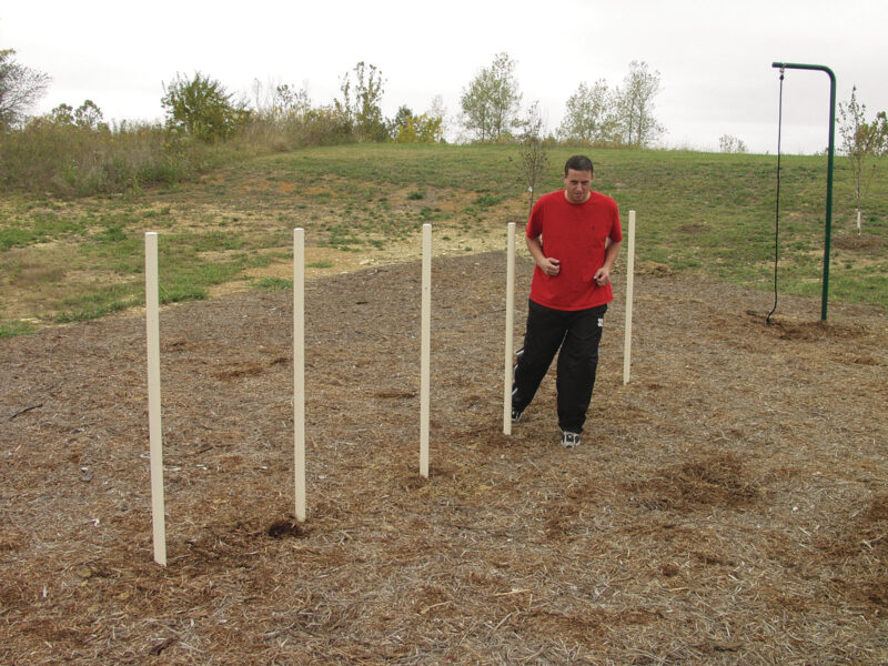 Sports-Play-Fitness-Units-Agility-Poles