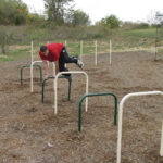 Sports-Play-Fitness-Units-Over-Under-Bars