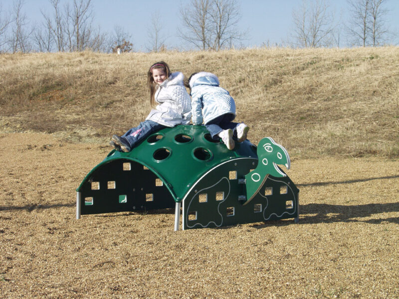Sports-Play-Playscapes-Turtle-Climber
