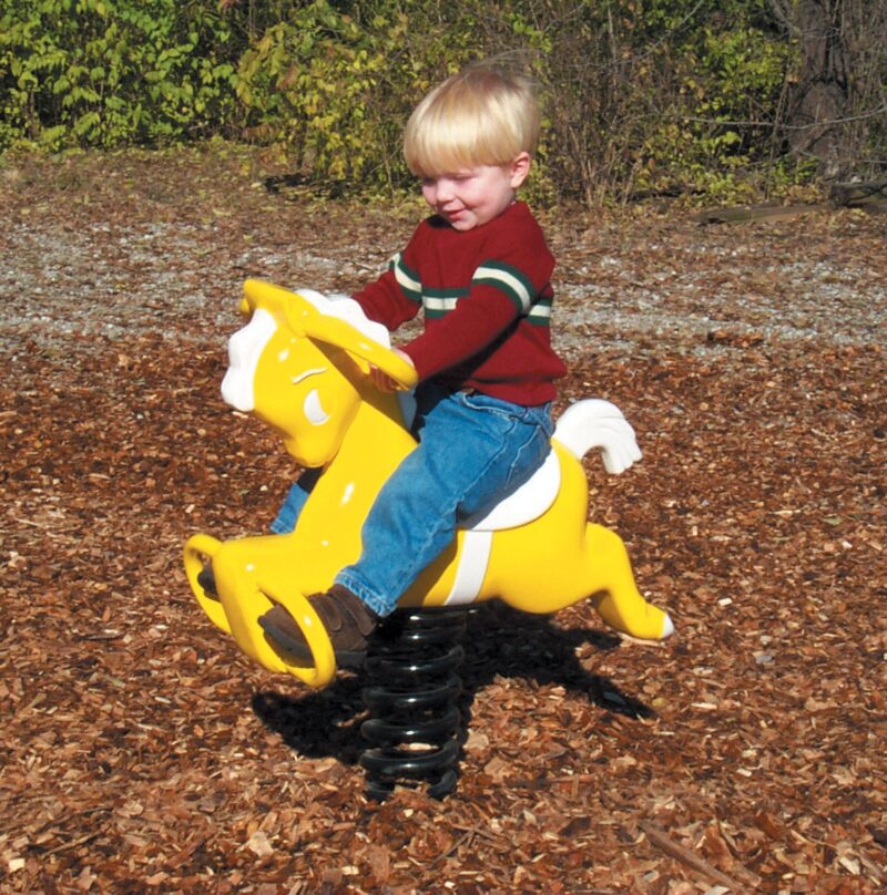 Sports-Play-Pony-Spring-Rider