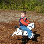 Sports-Play-Zebra-Spring-Rider