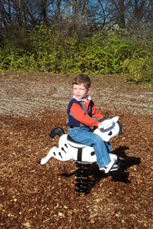 Sports-Play-Zebra-Spring-Rider