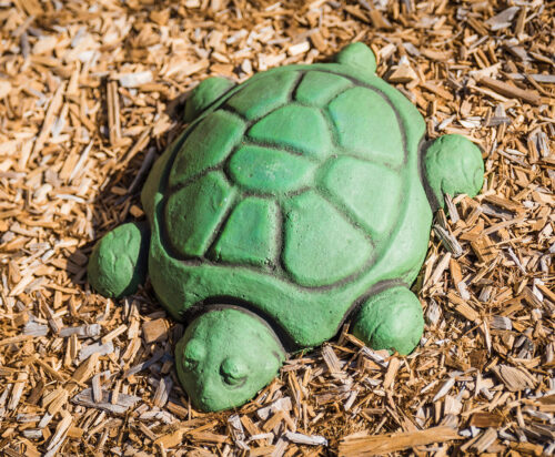 Grounds For Play Stepping Turtles