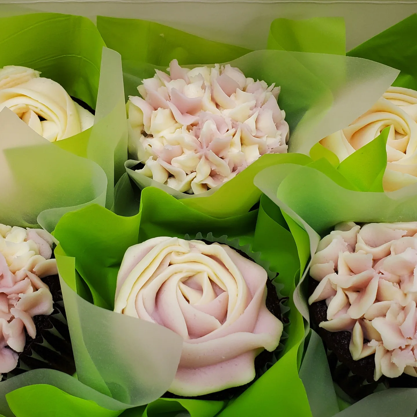 Flower-frosted cupcakes a family brought to a birthday party at the showroom