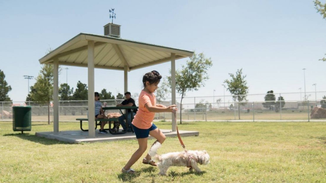 Square steel shelter with a cupola and weathervane on its roof, over a picnic table on a concrete pad in a grassy park